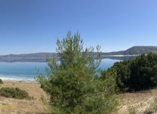 Fatih Sultan Mehmed’in İstanbul’a Dönüşü ve İlk İmar Faaliyetleri